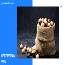 MACADAMIA NUTS